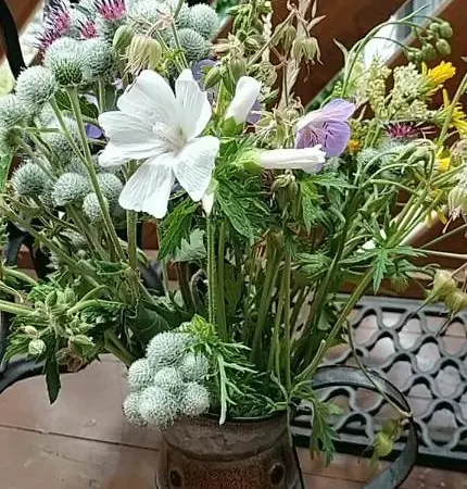 Ferienhaus Romanticka Pod Vysokymi Tatrami *