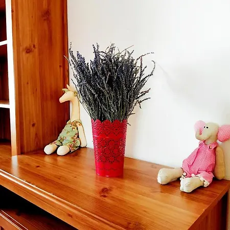 Romanticka Pod Vysokymi Tatrami * Liptovský Hrádok